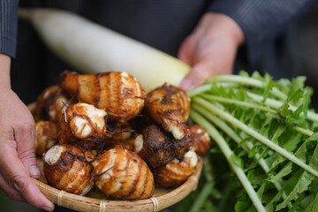 収穫した里芋と大根を持つ女性