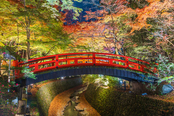 京都　 北野天満宮の紅葉
