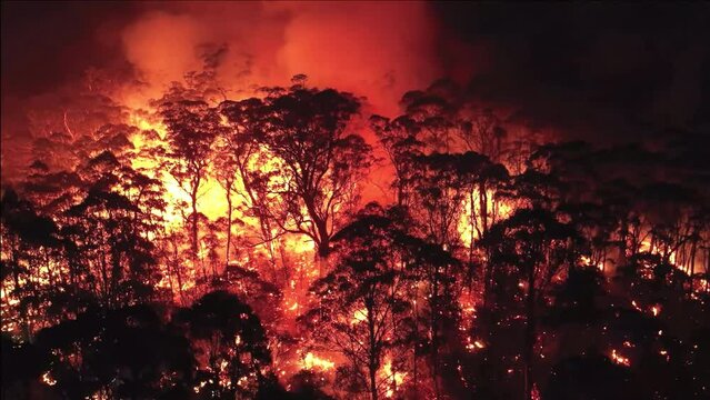 Aerial view of a large fire burning trees in a forest at night.
