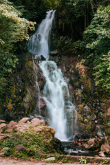 cascada grande en medio de un bosque con muchos arboles alrededor en Latinoamérica Panamá 
