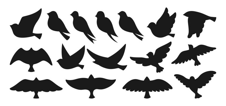 Bird dove silhouette shape set. Modern trendy abstract fowl sparrow, dove pigeon figure illustration. Cute various simple contour birds songbird collection. Drawing engraved press graphic elements