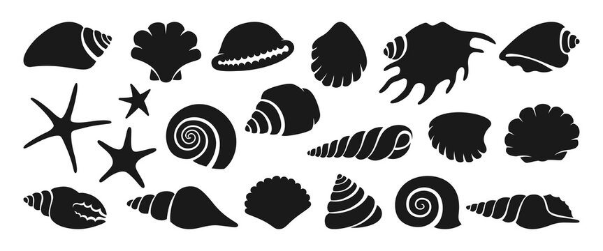 Sea shell sink stencil stamp set. Ocean exotic underwater seashell conch aquatic mollusk, sea spiral snail marine starfish seal brand collection. Tropical beach shells aquatic design illustration