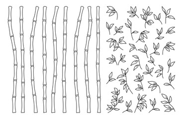 Bamboo stem and leaves outline border set. Exotic decoration elements fresh natural plant linear sketch style. Hand drawing painted Asian traditional tree leaves, sticks bamboo botanical collection
