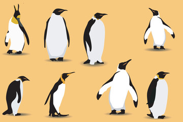 vector flat illustration set of penguins in different poses. Adult birds and chicks. Vector illustration, isolated on a white background.