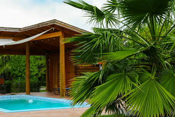Fototapeta na wymiar Tropical palm trees with beautiful green leaves near resort and swimming pool outdoors