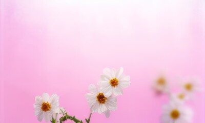 Obraz na płótnie Canvas flowers on pink background created with generative AI