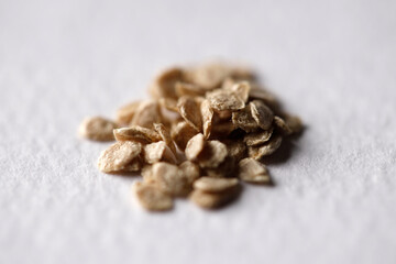 種苗　種　農業
