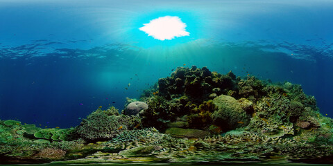 Colorful tropical coral reef. Hard and soft corals, underwater landscape. Travel vacation concept. Philippines. 360 panorama VR