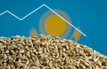Reduction of wheat grain production in Kazakhstan. Food crisis, food default. The decline in wheat...