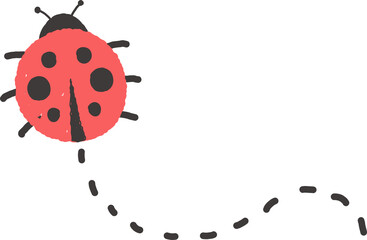 hand drawn ladybug illustration
