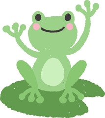 hand drawn frog illustration