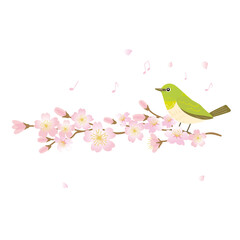 Illustration of white-eye bird and cherry blossom branch, spring wild bird, hand-drawn vector illustration.