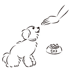 待てをする犬（ごはん・しつけ）
