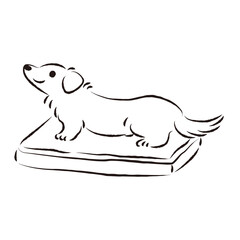 ペットシーツの上でトイレをする犬のイラスト（しつけ）