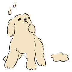 おしっこをして困った表情の犬（トイレのしつけ）