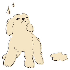 おしっこをして困った表情の犬（トイレのしつけ）