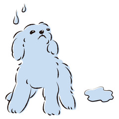 おしっこをして困った表情の犬（トイレのしつけ）