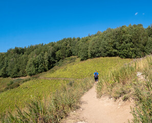 Tourists with a backpack goes along a mountain path. Active lifestyle walking in the mountains with a backpack.