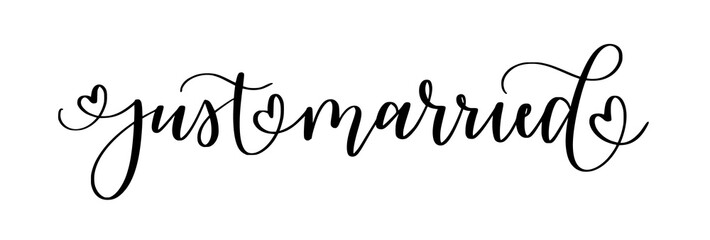 Just married. Cute modern calligraphy wedding themed doodle on transparent background