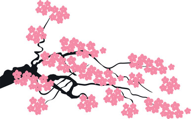 Obraz na płótnie Canvas Vector Blooming Sacura