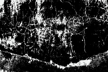 Fototapeta premium black and white fleck texture, Artistic and natural Texture With Vector EPS format