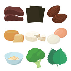 Fototapeta na wymiar Vector illustration of foods containing vitamin B2.