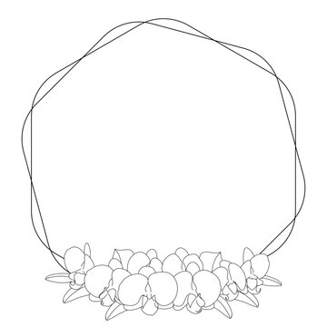 recommend clip art: 胡蝶蘭のかわいい白黒線画イラストフレーム素材