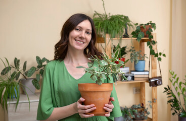 A young woman holds a houseplant in her hands. Young beautiful woman caring for potted indoor plants. Home gardening. Biophilia design and urban jungle concept.