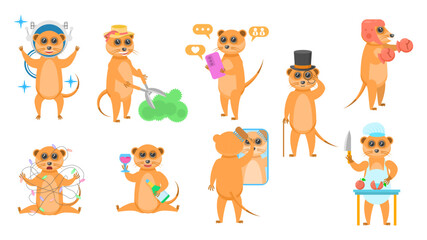 Big Set Abstract Collection Flat Cartoon Different Animal Meerkats Vector Design Style Elements Fauna Wildlife
