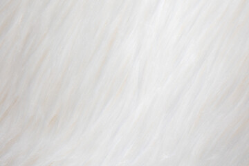  detail of a white fur as a graphic element for the background