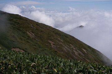 平標山　仙ノ倉山
