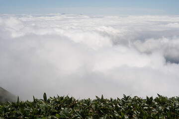 平標山　仙ノ倉山