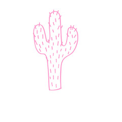 pink cactus icon