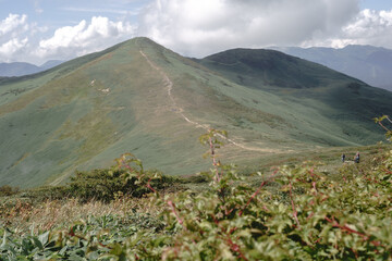 平標山　仙ノ倉山