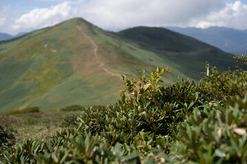 平標山　仙ノ倉山