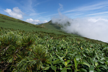 平標山登山