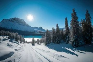 Foto op Canvas Midday in a winter landscape on a mountain slope among snow-covered pines and snowdrifts. Snowy road leading into the forest. Winter background, 2023, the sun at its zenith, the mountain in the distan © Вячеслав Герц