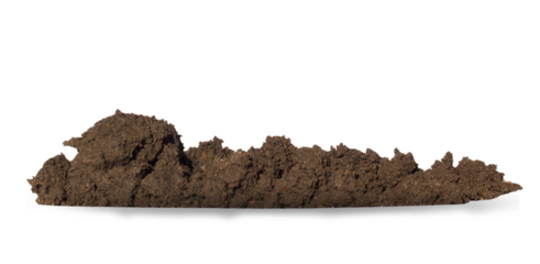 isolate. nature ground background, texture of fertile land. soil surface top view