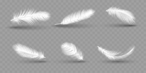 Realistic white soft goose feathers. Fluffy falling wing, bird plume, duck fluff, hen or swan weightless plumage, lightweight. Symbol of lightness, 3d isolated vector isolated collection