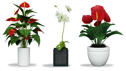 3D realistic vector icon illustration potted plants for the interior.Use as Indoor Plants for interior. Isolated on white background.3D Rendering.