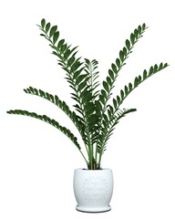 3D realistic vector icon illustration potted plants for the interior.Use as Indoor Plants for interior. Isolated on white background.3D Rendering.