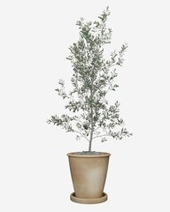 3D realistic vector icon illustration potted plants for the interior.Use as Indoor Plants for interior. Isolated on white background.3D Rendering.