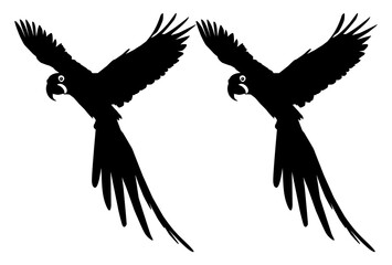 Flying Macaw Bird Silhouette for Logo, Pictogram, Art Illustration, Website or Graphic Design Element. Format PNG	