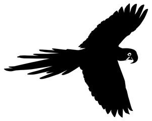 Flying Macaw Bird Silhouette for Logo, Pictogram, Art Illustration, Website or Graphic Design Element. Format PNG	