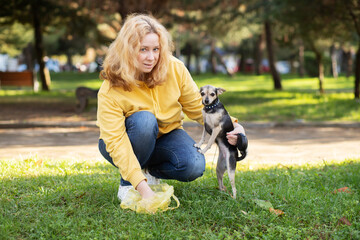 Naklejka na ściany i meble remove dog shit, owner collects dog excrement in the park