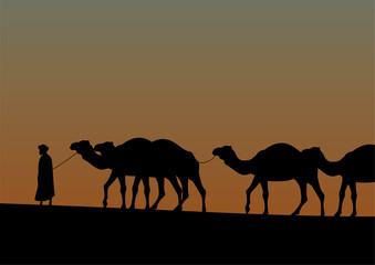 Fototapeta na wymiar camel caravan going through the desert on beautiful sunset