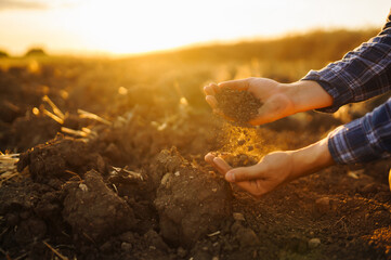 Expert hand of farmer checking soil health before growth a seed of vegetable or plant seedling. Business or ecology concept.