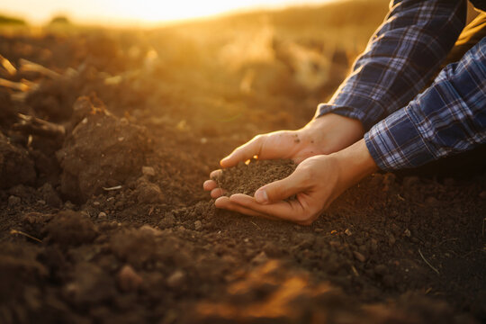 Expert hand of farmer checking soil health before growth a seed of vegetable or plant seedling. Business or ecology concept.
