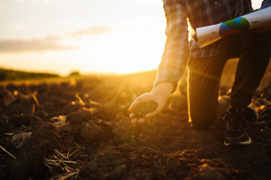 Expert hand of farmer checking soil health before growth a seed of vegetable or plant seedling. Business or ecology concept.