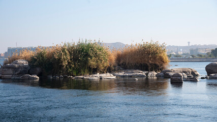 Nile river view while cruise on the Nile
